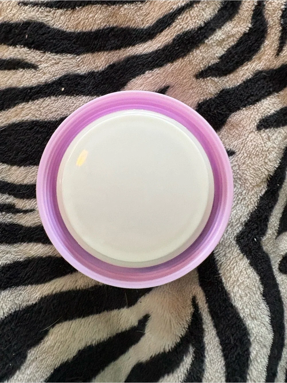 Pink and Purple Mermaid Food Storage Container